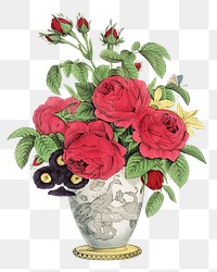 Aesthetic rose vase  png on transparent background.   Remastered by rawpixel