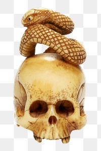 Aesthetic skull with snake png on transparent background.  Remastered by rawpixel