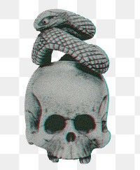 Aesthetic skull with snake png on transparent background. Remixed by rawpixel.