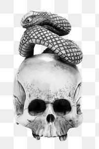 Aesthetic skull with snake png on transparent background. Remixed by rawpixel.