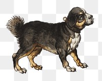 Aesthetic Mastiff dog png on transparent background.  Remastered by rawpixel