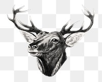 Aesthetic elk head png on transparent background.   Remastered by rawpixel