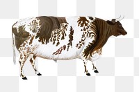 Aesthetic bull png on transparent background.  Remastered by rawpixel