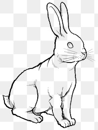 Rabbit png sticker, Chinese zodiac animal in line art design, transparent background