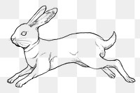 Jumping rabbit png sticker, Chinese zodiac animal, line art illustration, transparent background