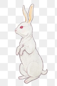 Standing white rabbit png sticker, Chinese zodiac animal illustration, transparent background