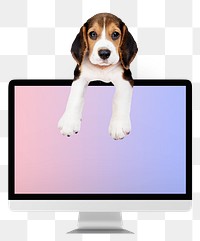 Computer desktop png with cute Beagle sticker, transparent background