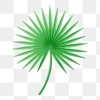 Fan palm png sticker, botanical 3D cartoon transparent background