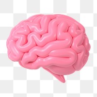 Human brain png icon sticker, 3D rendering, transparent background