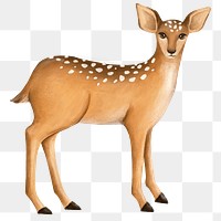 Deer png sticker, cute animal illustration, transparent background