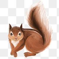 Squirrel png sticker, cute animal illustration, transparent background