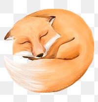 Sleeping fox png sticker, cute animal illustration, transparent background