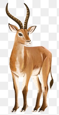 Impala png sticker, cute animal illustration, transparent background