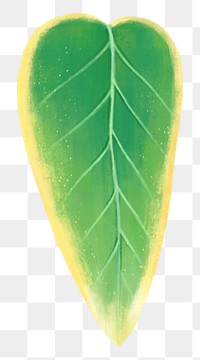 Colorful leaf png sticker, botanical illustration, transparent background