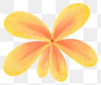 Yellow flower png sticker, botanical illustration, transparent background