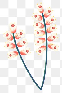 Tropical flowers png sticker, botanical illustration, transparent background