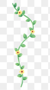 Flowering vine png sticker, botanical illustration, transparent background