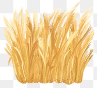 Autumn grass png sticker, botanical illustration, transparent background