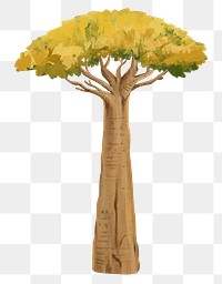 Baobab tree png sticker, botanical illustration, transparent background