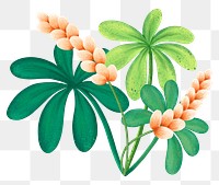 Tropical flower png sticker, botanical illustration, transparent background