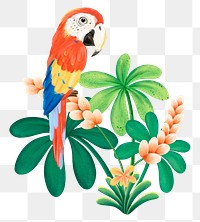 Macaw bird png sticker, cute animal illustration, transparent background