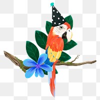 Birthday bird png sticker, cute animal illustration, transparent background