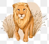 Lion wildlife png sticker, cute animal illustration, transparent background