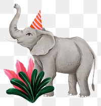 Birthday elephant png sticker, cute animal illustration, transparent background