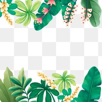 Tropical leaves png frame, botanical illustration, transparent background