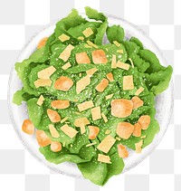 Organic salad png sticker, healthy food illustration, transparent background