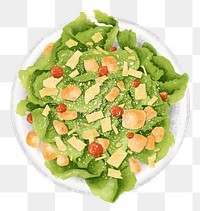 Caesar salad png sticker, healthy food illustration, transparent background