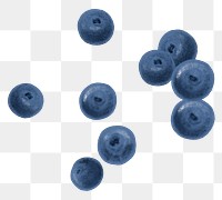 Organic blueberries fruit png sticker, realistic illustration, transparent background