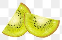 Kiwi slices png sticker, realistic fruit illustration, transparent background