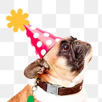 Cut French Bulldog png wearing party hat, festive sticker, transparent background