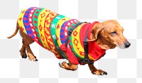 Cool dachshund png wearing sweater, dog sticker, transparent background