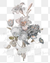 Winter flower branches png sticker, vintage botanical, transparent background