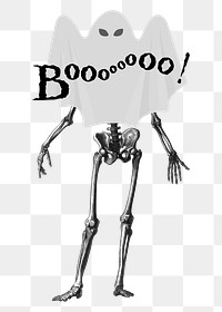 Skeleton png sticker, transparent background