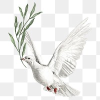 Vintage flying dove bird png sticker, transparent background