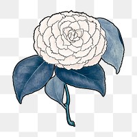 White camellia png flower sticker, transparent background, remixed by rawpixel