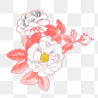 Aesthetic rose png flower sticker, transparent background, remixed by rawpixel