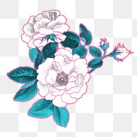 White rose png flower sticker, transparent background, remixed by rawpixel