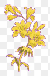 Yellow flower png botanical sticker, transparent background, remixed by rawpixel