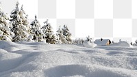 Snowy land png border, pine forest image, transparent background