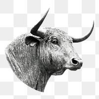 Bull statue png sticker, transparent background