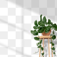 Potted houseplant png sticker, window shadow, transparent background