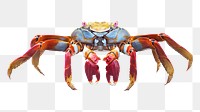 Cute crab png sticker, transparent background