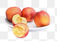 Peaches fruit png sticker, transparent background