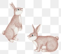 Cute rabbits png sticker, Easter celebration, transparent background