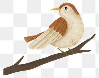 Little bird png sticker, animal illustration, transparent background