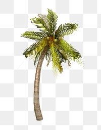 Tropical coconut tree png illustration sticker, transparent background